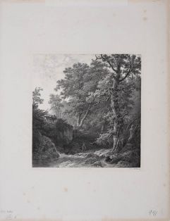 Der Wasserfall - La Cascade