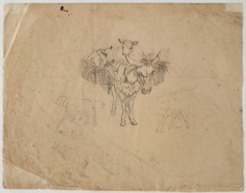 Packesel, Hund und Schaf