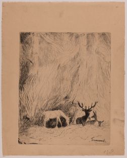 Hirsche im Böhmerwald