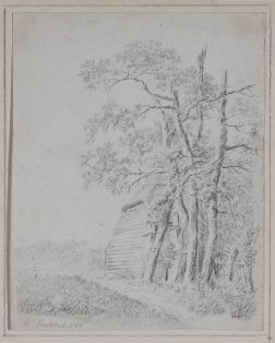 Gehöft unter Eichen