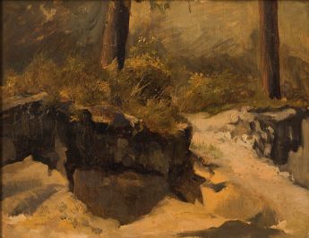 Bäume bei einer Sandgrube