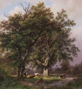 Die große Buche vor Schloss Moyland