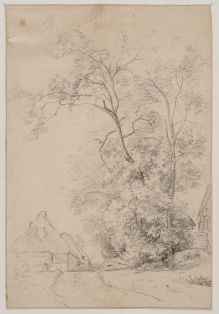 Dorfweg mit Häusern und hohen Bäumen