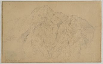 Blick auf eine bewaldete Felswand