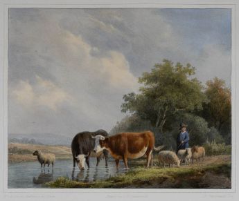 Vieh mit Hirte an der Tränke