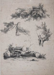 Vier Teilstudien von Bäumen