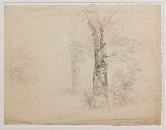 Baumstudie, 1849