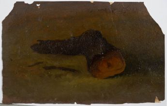 Studie eines umgesägten Baumes