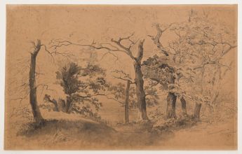 Hunnenschans bei Oosterbeek (Gelderland)