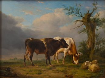 Tiere in einer Landschaft