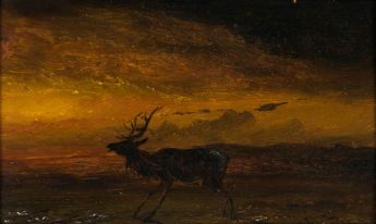 Edelhirsch in einer Abendlandschaft