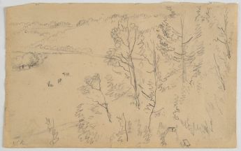 bewaldeter Hügelrand bei Valkenburg (?) (Süd-Limburg)