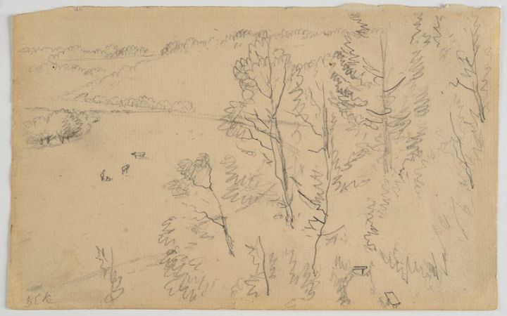 bewaldeter Hügelrand bei Valkenburg (?) (Süd-Limburg)