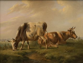 Zwei Kühe in einer Polderlandschaft