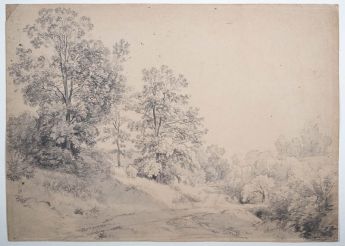 Waldrand mit Bäumen