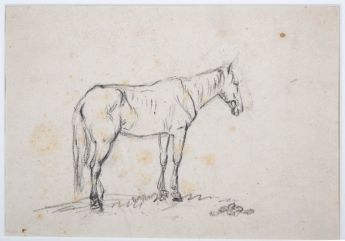 Skizze eines Pferdes und einer Schlossruine