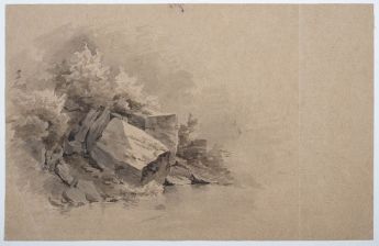 Bewachsene Felsblöcke