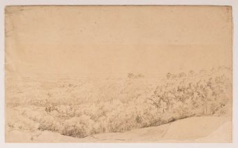 Blick vom Waldhang in weites Tal