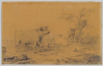 Polderlandschaft mit Stier, Kühen und einem Esel