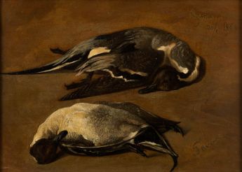 Jagdbeute mit zwei erlegten Enten