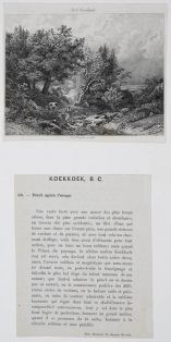 Foret après l'orage - Der Wald vor dem Gewitter