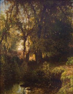 Birken und Eichenbäume