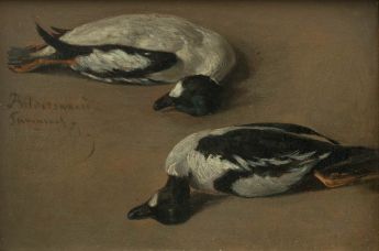 Zwei angeschossene Enten