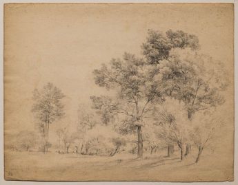 Landschaft mit Bäumen