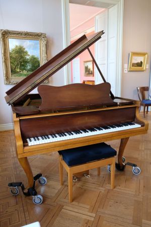 Steinway Flügel